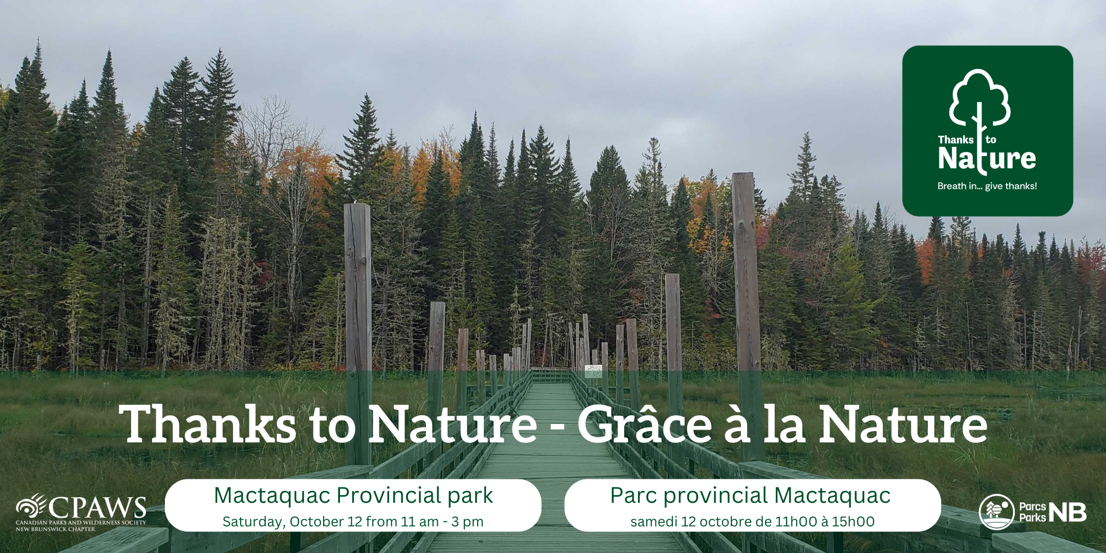 Thanks to Nature // Grâce à la Nature